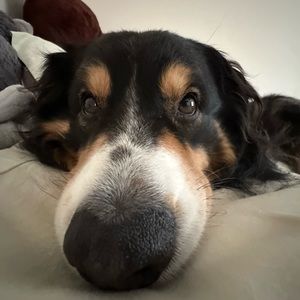 Meet your Posher, Barbara